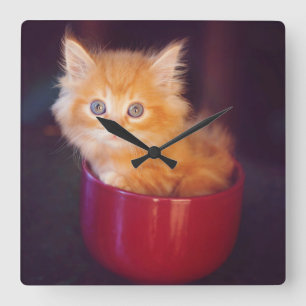 Horloge Carrée Chaton orange dans une tasse rouge