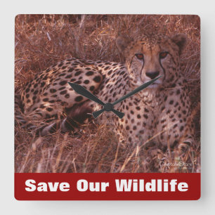 Horloge Carrée Cheetah Stare