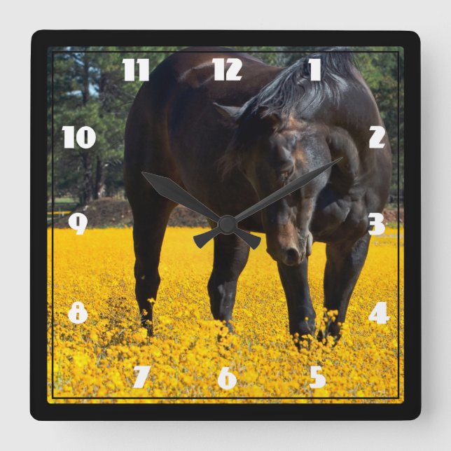 Horloge Carrée Cheval bai dans un champ de fleurs jaunes (Recto)