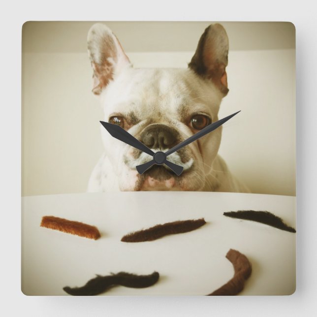 Horloge Carrée Chien À Balle Français Avec Moustache (Recto)