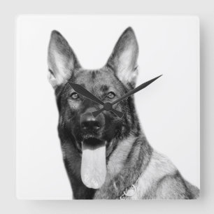 Horloge Carrée Chien allemand berger animal animal animal animal 