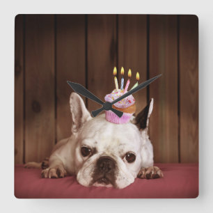 Horloge Carrée Chien-taureau français avec Cupcake d'anniversaire