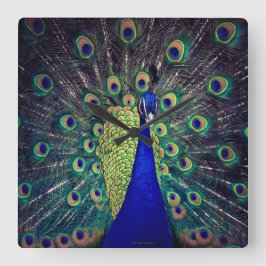 Horloge Carrée Cobalt Blue Peacock