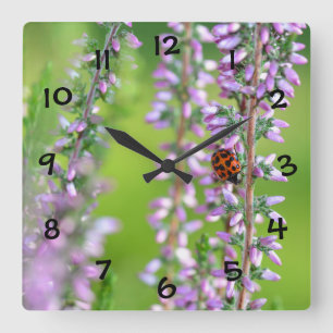 Horloge Carrée Coccinelle sur des fleurs violettes