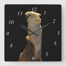 Coccinelle sur mesure posant dans la nuit