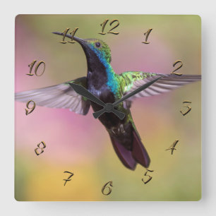 Horloge Carrée Colibri
