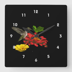 Horloge Carrée Colibri sur des Zinnias