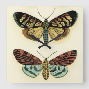 Horloge Carrée Collection de papillon par Chariklia Zarris