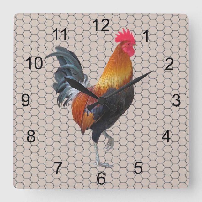 Horloge Carrée Colorful Strutting Rooster Design (Recto)