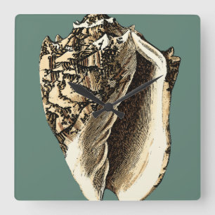 Horloge Carrée Conque turquoise Shell