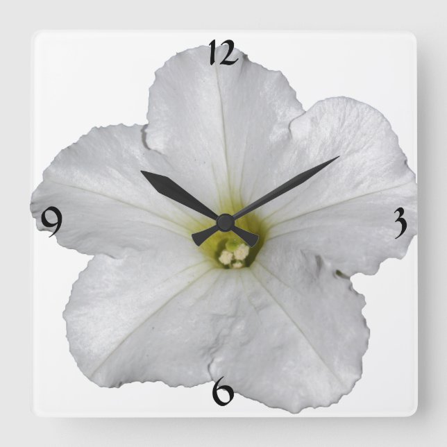 Horloge Carrée Cool blanc à la floraison de pétunia (Recto)