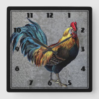 Coq Bantam coloré