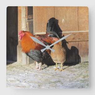 Horloge Carrée Coq de Ferme Poulet Rustique