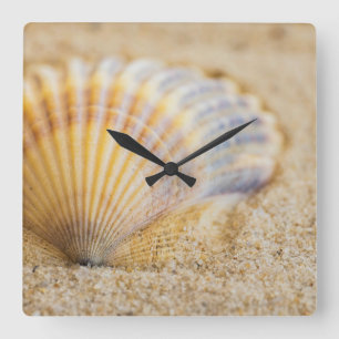 Horloge Carrée Coquillage doux