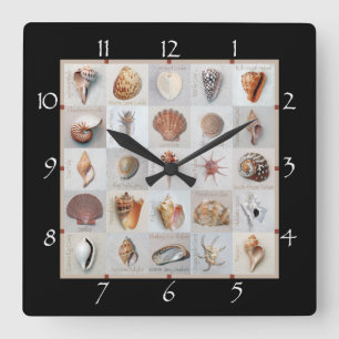 Horloge Carrée Coquilles sophistiquées