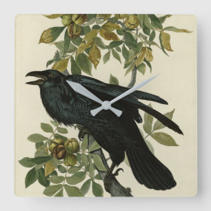 Horloge Carrée Corbeau (Grand Corbeau) d'après Audubon Birds of A