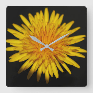Horloge Carrée Couche de la paroi de la fleur de Dandelion