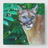 Cougar dans l'horloge de la jungle