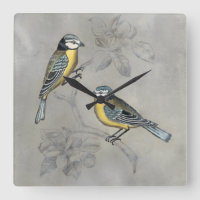 Couples argentés d'oiseau de la volière |