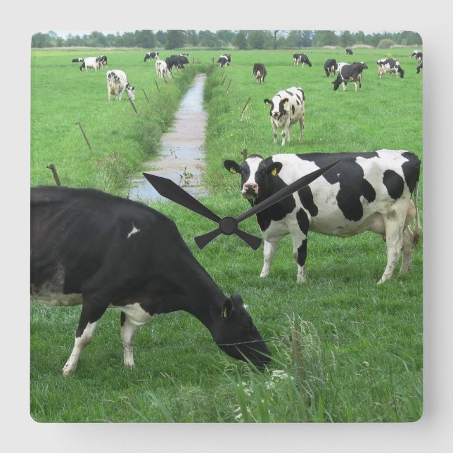 Horloge Carrée Cow Clock (Recto)