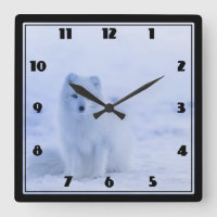 Cute Arctic Fox sur Snowy Winter Arrière - plan