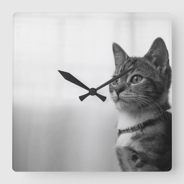 Horloge Carrée Cute chat (Recto)