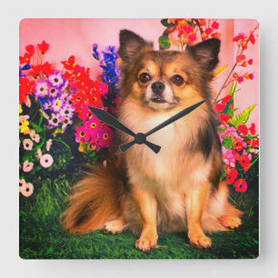 Horloge Carrée Cute Chihuahua parmi les fleurs de printemps