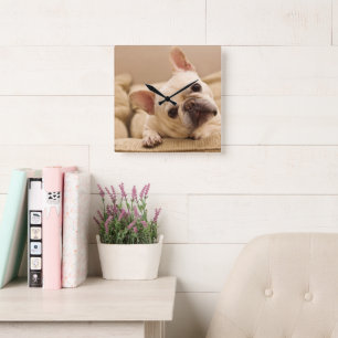 Horloge Carrée Cutest Baby Animals French Bulldog Head Tilt