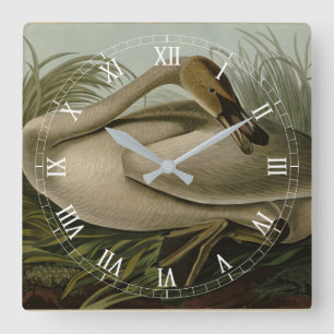 Horloge Carrée Cygne trompette - Audubon's Birds of America