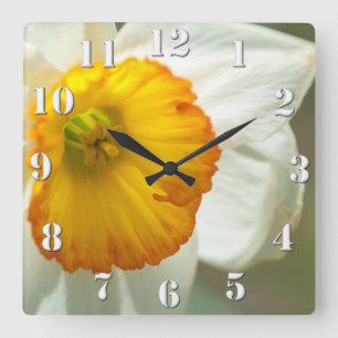 Horloge Carrée Daffodile