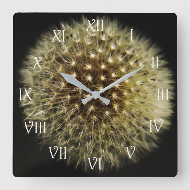 Horloge Carrée Dandelion Seedhead White Script (Recto)