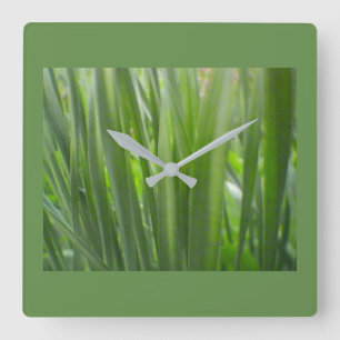 Horloge Carrée Décor écoécologique