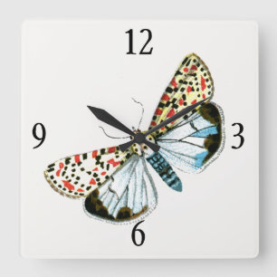 Horloge Carrée Deiopeia pulchella - Crimson-Speckled Flunkey Moth