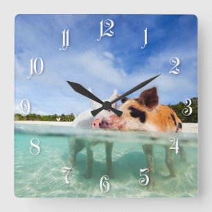 Horloge Carrée Deux petits porcelets
