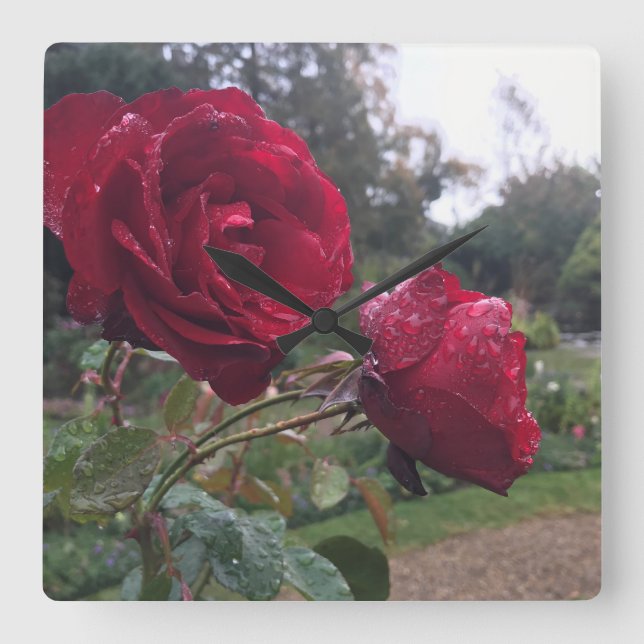 Horloge Carrée Dew Drop (Recto)