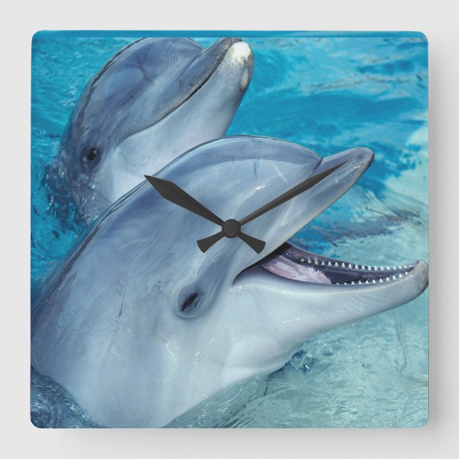 Horloge Carrée Dolphin clock (Recto)