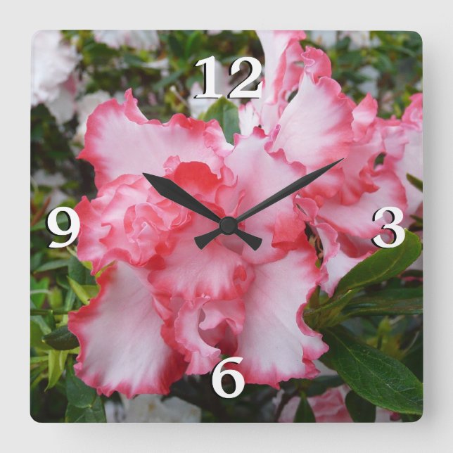 Horloge Carrée Double rouge et blanc Azaleas printemps floral (Recto)
