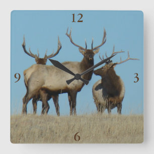 Horloge Carrée E60 Bull Elk Sky Lined