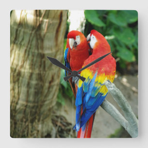 Horloge Carrée Écart de l'horloge Macaw