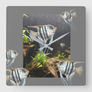 Horloge Carrée Écluse de la muraille de poisson à répartition 