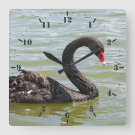 Horloge Carrée Élégance du cygne noir