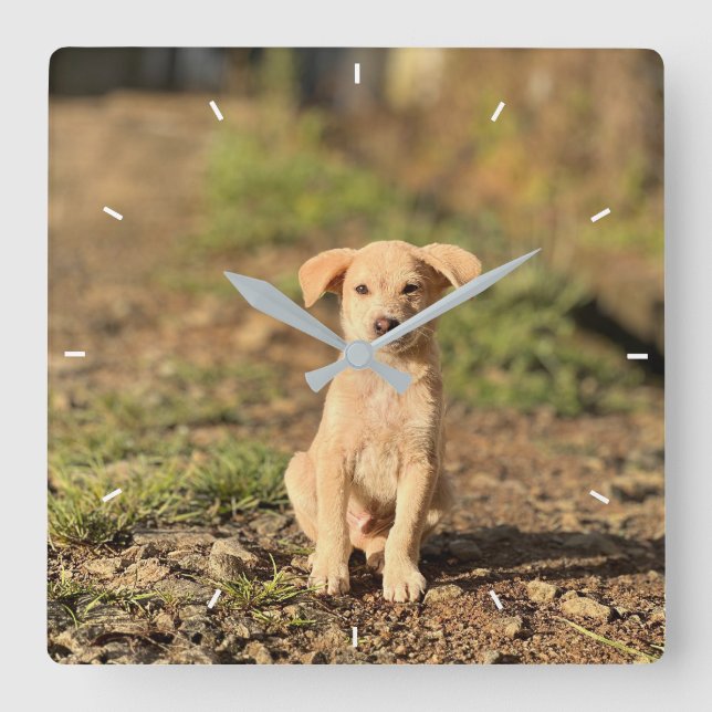 Horloge Carrée Elegant Modern Custom Wall Clock Add Your Own  (Recto)