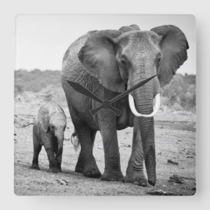 Horloge Carrée Éléphant africain et veaux   Kenya, Afrique