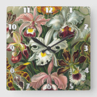 Ernst Haeckel Art Imprimer : Orchidae Oncidiums, t