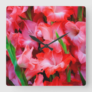 Horloge Carrée États-Unis, Géorgie, Savannah, Bouquet De Gladio