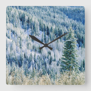 Horloge Carrée États-Unis, Washington, Mt. Spokane State Park, As