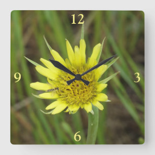 Horloge Carrée F41 Jaune Barbue Sauvage Fleur