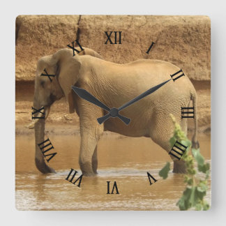 Horloge Carrée Female African Elephant en Tanzanie
