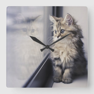 Horloge Carrée Fenêtre Kitten regardant vers l'extérieur