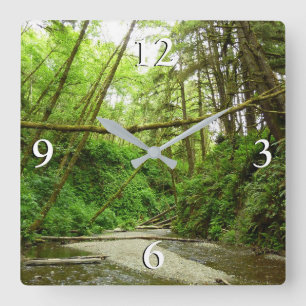 Horloge Carrée Fern Canyon I au Redwood National Park